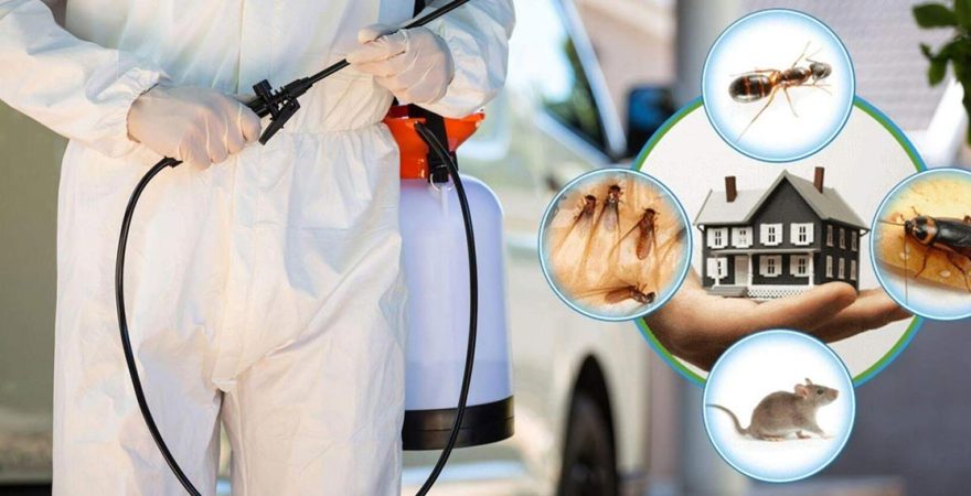 Gölköy Böcek İlaçlama