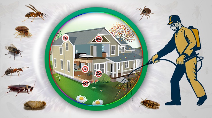 Gölköy Böcek İlaçlama