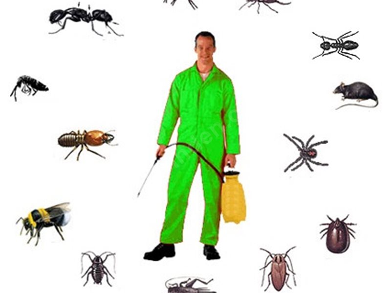 Gölköy Böcek İlaçlama